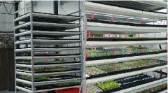 科技農業 安全蔬菜 植物工廠規劃
