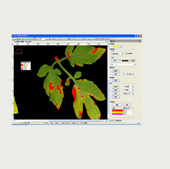 LA-S型植物圖像分析儀系統