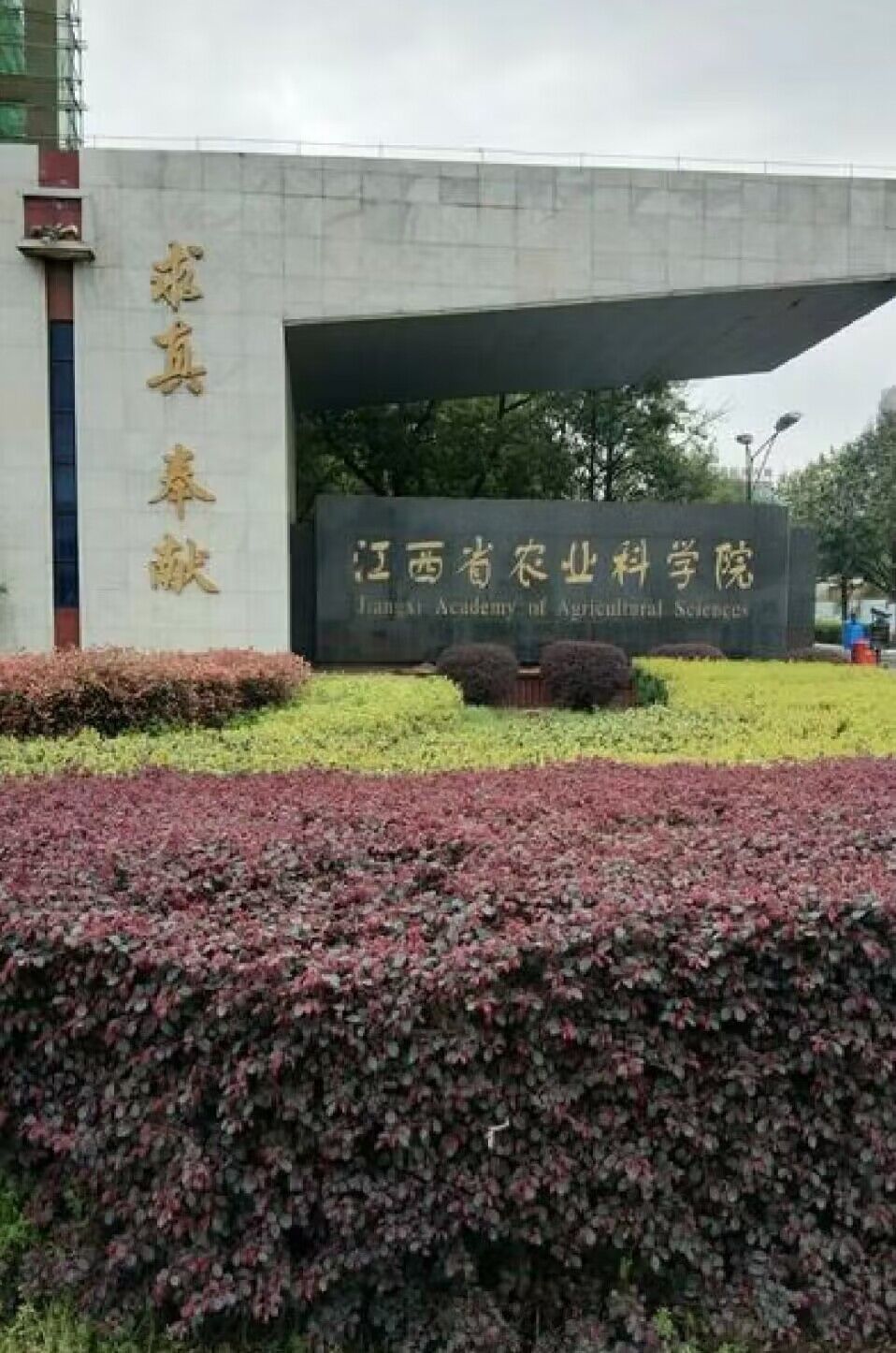 江西省農業科學院——嫁接機采購項目