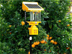太陽能殺蟲燈